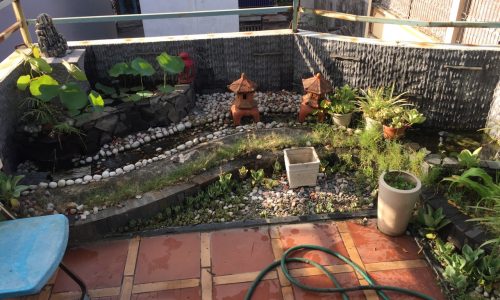 Cần Bán Gấp!Bán nhà Q Long Biên,Thượng Thanh,48m2,5T,5m mặt tiền,ô tô 10m,kinh doanh.