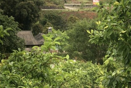 Bán đất nền Mộc Châu ,5ha xã chiềng sơn sổ đỏ rõ ràng