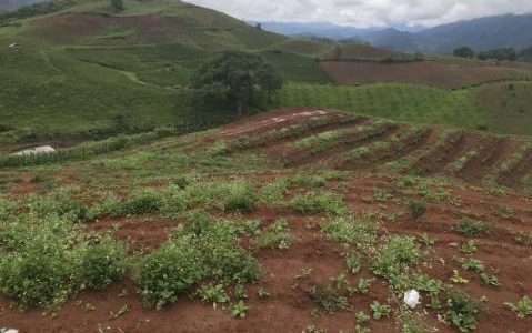 Bán đất nền Mộc Châu 10ha khu vực chiềng sơn ,sổ sách rõ ràng