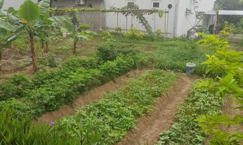 Bán đất khu phân lô quân đội ,Vân Đồn ,Quảng Ninh ,90m phun thổ cư
