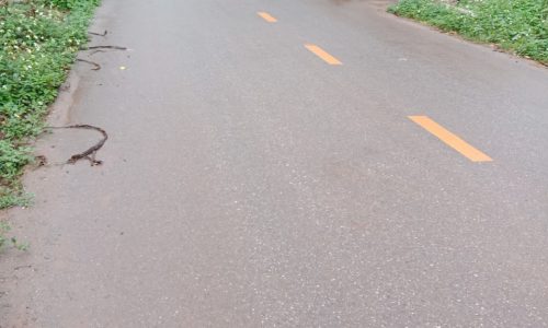 Bán đất xã Đài Xuyên ,Vân Đồn ,Quảng Ninh 487,5m2 có sổ đỏ