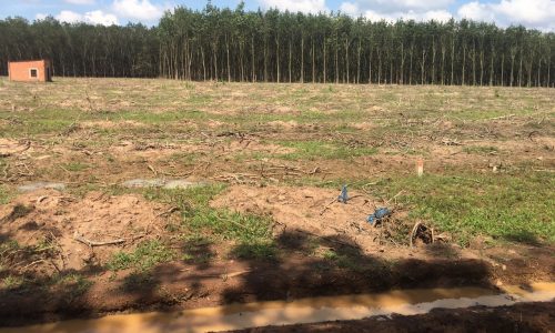 ĐẤT NGỘP XẢ LỖ THU HỒI VỐN CHỈ 370tr/ SÀO