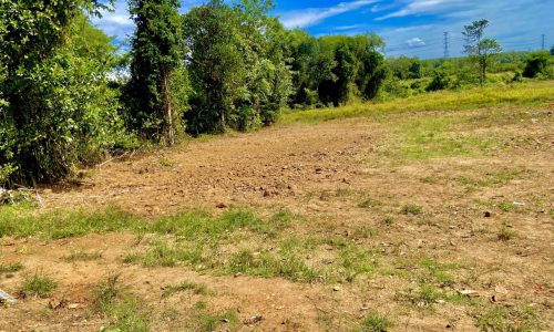 khách gửi bán lô đât thổ cư LỘC NINH chỉ 350tr/250m2