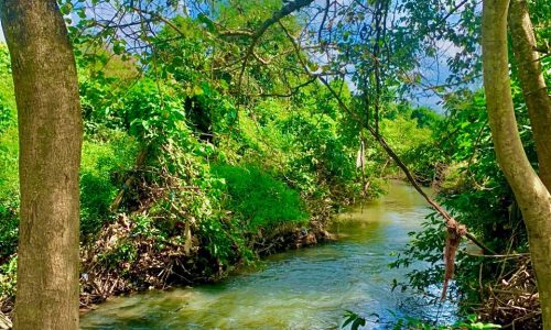 Tết đến xuân về RINH ngay cho mình 1 miếng đất giá ngọp đi mnoij người chỉ 320tr lộc về liền tay !!!!