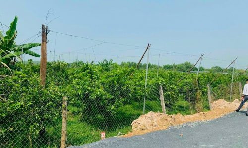 RA GẤP VÀI SÀO ĐẤT VƯỜN GIÁ NGỘP 520tr/2000m2