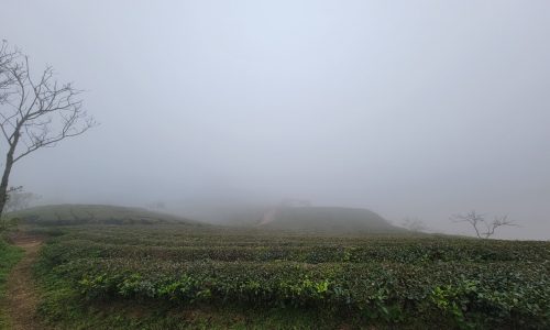 Bán đất nền Mộc Châu 961m2 thuộc tiểu khu chiềng đi sổ đỏ rõ ràng