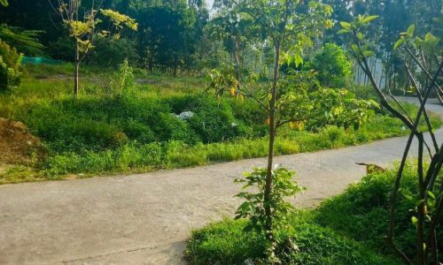Bán mảnh 380,32m xã bản sen ,Vân Đồn ,Quảng Ninh phun thổ cư