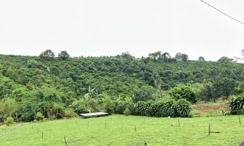 Đất giáp suối, full thổ cư cực hiếm cách Quốc lộ 20 chỉ 2,7km, giá chạm đáy