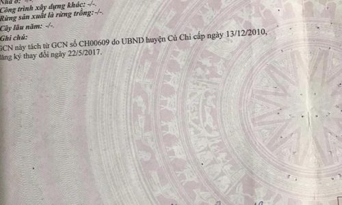 cắt lỗ bán đất vườn xã Thái Mỹ-Củ Chi 670m2,SHR,giá 1 tỷ 3