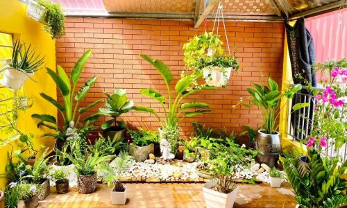 Cần sang nhượng căn nhà Gần Lăng Bác, Bách Thảo, 1km ra Hồ Tây lộng gió