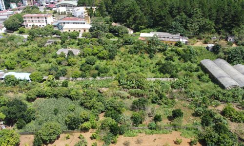 Bán đất nền Mộc Châu ,thị trấn nông trường 502m2 sổ đỏ rõ ràng