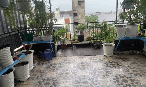 Nhà 3 Tầng Diệp Minh Châu KĐT Hòa Xuân 100m2 4.5 Tỷ