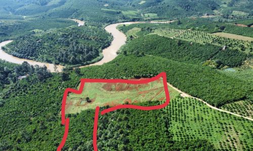 Đất vườn cảnh đẹp ở Lộc Nga, tp Bảo Lộc giá 1 tỷ 250 / 1 sào