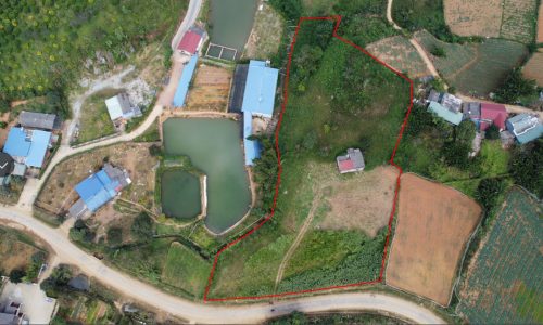 Bán đất nền Mộc Châu ,thị trấn nông trường ,6000m2 sổ đỏ rõ ràng