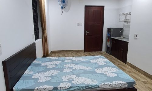 Mặt tiền đường Trường Thi Hải Châu Dòng Tiền 9 Tầng 13 Tỷ