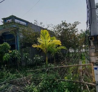 BÁN ĐẤT XÃ THANH HẢI