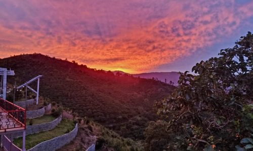 Chủ NGỘP Thanh Lí Lại1 lô đất tại Lộc Thành