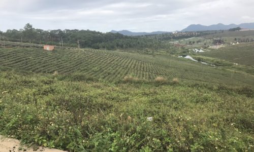 Chính chủ cần bán gấp xoay sở