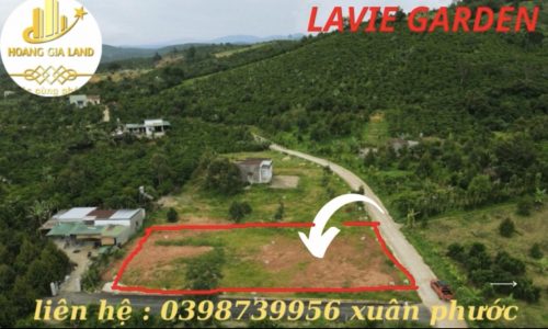 Chủ Gửi Em Bán Sĩ 12 Nền Thôn 8 Lộc Nam