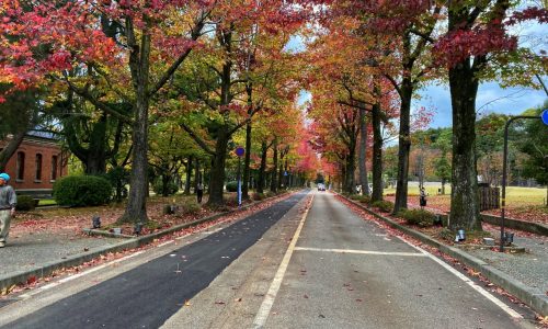 Bán rẻ gấp nhà mặt tiền ngay Nguyễn Đình Chiểu Quận 1 giá 21,5 tỷ, DT: 4,2x21m 5 tầng 6PN