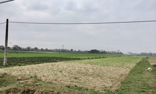 ĐẤT AN VIÊN MẶT ĐƯỜNG 35M GIÁ RẺ