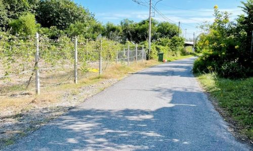 Đại hạ giá lô đất thổ vườn 822m2(200m thổ cư)Bà Thiên,Củ Chi,4tr/m2.