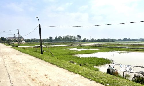 ĐẤT MẶT ĐƯỜNG 12M GIÁ RẺ Ở THỊ TRẤN NGHÈN