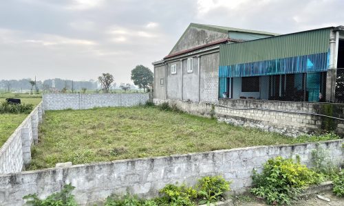 BÁN ĐẤT XUÂN GIANG NGHI XUÂN MẶT ĐƯỜNG 12M