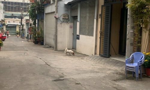 Nhà HXH đường 385 tăng nhơn phú A, diện tích 44m đúc 3 tầng