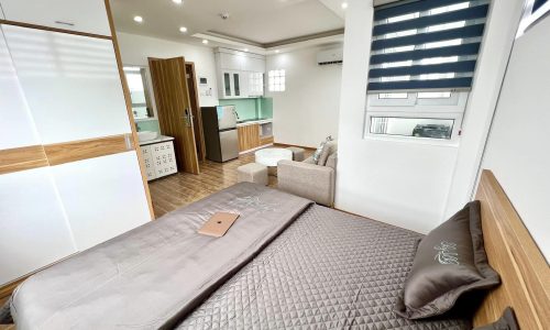 BÁN CCMN, PHỐ TRẦN ĐẠI NGHĨA , 95M2, 7 TẦNG , 24 PHÒNG KK. DÒNG TIỀN 1 TỶ/ NĂM, GIÁ11,8 TỶ.