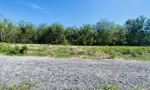 Đất 328m2 2MT ngay Gò Dầu, Giá 350 Triệu.