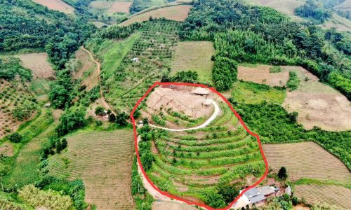 Bán Đất Hòa Bình 9000m2 thổ cư view cực đẹp nghỉ dưỡng tại Cao Phong, Hòa Bình