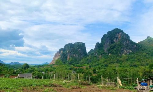 Chính chủ cần bán 3984m2 sẵn 1300m2 thổ cư giá rẻ thỏa thuận hợp lý Cao Phong Hòa Bình