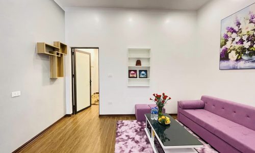 Ô TÔ_KINH DOANH_bán nhà Hoàng Cầu 60m nhỉnh 7 tỷ_0946383428