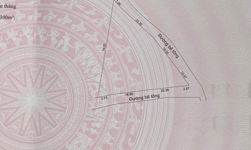 Bán đất sổ hồng chính chủ xã Hoà Ninh, Hoà Vang, Đà Nẵng