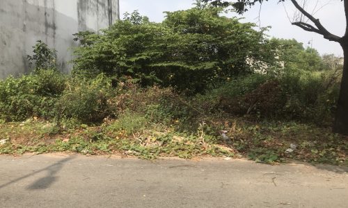 Chính chủ bán gấp 220m2 SHR ngay KDC sầm uất ngang Chợ Đầu Mối Thủ Đức