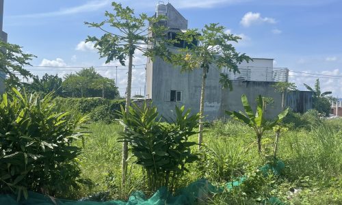 Cần bán 2 lô đất lối đi chung Xã Bình Lợi, Huyện Bình Chánh