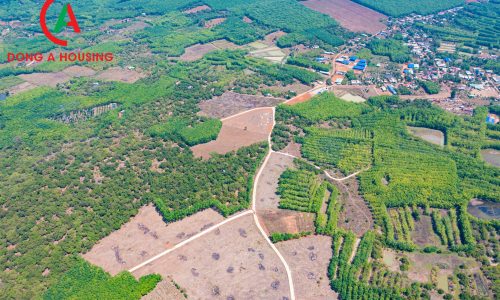 Giá rẻ, hạ tầng đầy đủ, dân cư đông đúc – Đất nền Long Hà, Bình Phước đáng mơ ước