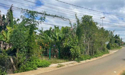 Bán 2 sào góc 3 mặt tiền Ngô Đức Kế, Phường B\’Lao, Bảo Lộc, Lâm Đồng