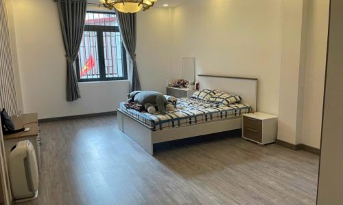 NHÀ MỚI ĐẸP KHU VIP THÀNH THÁI, CÓ DÒNG TIỀN 30TR