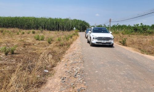 Sang nhượng  gấp mảnh đất vườn Hòa Hiệp , Tân Biên , 1000m2 – 499 tr