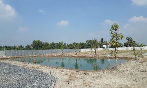 Đất vườn làm kho xưởng , nghỉ dưỡng dt 5200m2 xã Tân Bửu, Bến Lức , Long An giá 12,2 tỷ