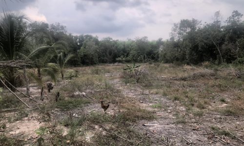 Bán Đất 2 mặt tiền đường đất, có 400 m2 thổ cư+ CLN, Châu Thành, Tây Ninh