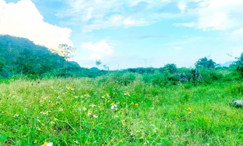 SIÊU HIẾM chỉ 350k/m2 mảnh 10.741M nằm VỊ TRÍ cực đắc địa tại Mỹ Hòa Tân Lạc