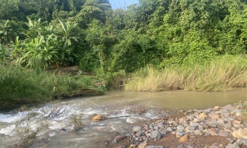 Chỉ 400tr có ngay 1,3ha đất rsx cực thoáng tại Cao Phong, Hòa Bình