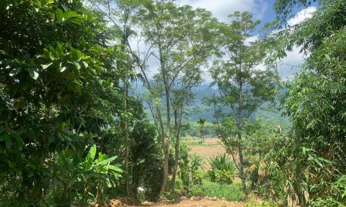 Quá đẹp rẻ không nên bỏ lỡ 1404m2 view trên cao thoáng mát chỉ vài trăm triệu Tân Lạc Hòa Bình