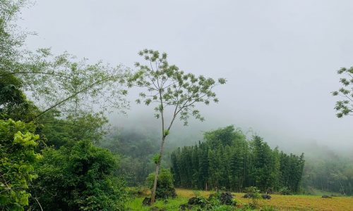 Chính chủ cần bán gấp  7500m view cực đẹp nghỉ dưỡng tại Mai Châu, Hòa Bình