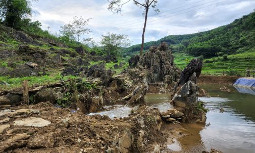 3500m2 Siêu phẩm đất thổ cư giá rẻ view cánh đồng, lưng tựa núi Tân Lạc Hòa Bình