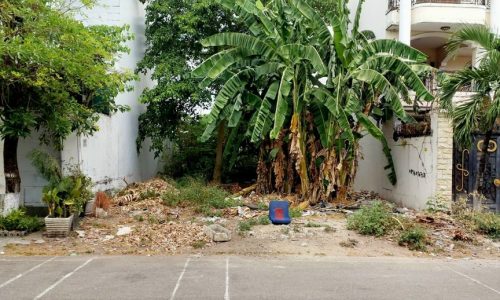 Đất xây biệt thự 240m2 , phường Tân Tạo, q Bình Tân giá 16,5 tỷ