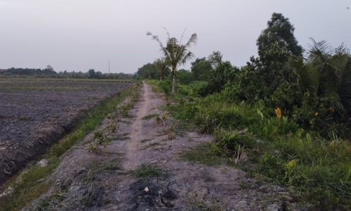 Gần 3 mẫu đất trồng cây hàng năm ở xã Lương Hòa , huyện Bến Lức , long An giá 36 tỷ